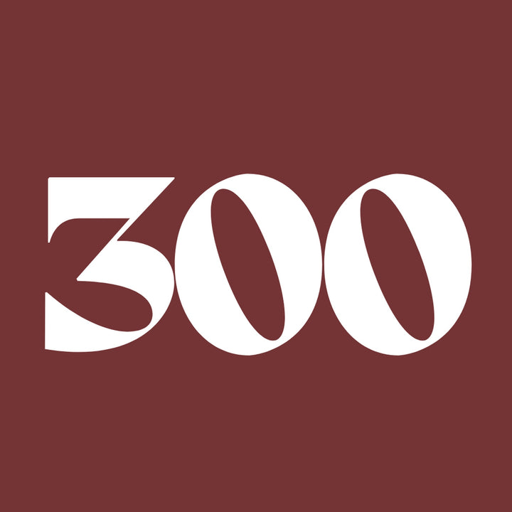 מוצרים עד ₪300 - Shak-it jewelry