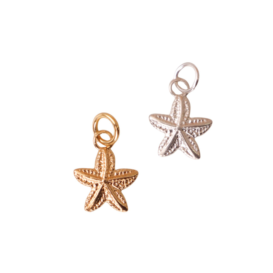 צארם כוכב ים | SeaStar